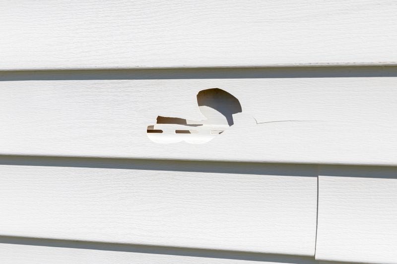 Patch and Seal Vinyl Siding